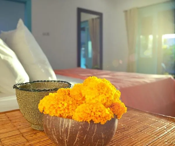 Zenta * Canggu (Bali)
